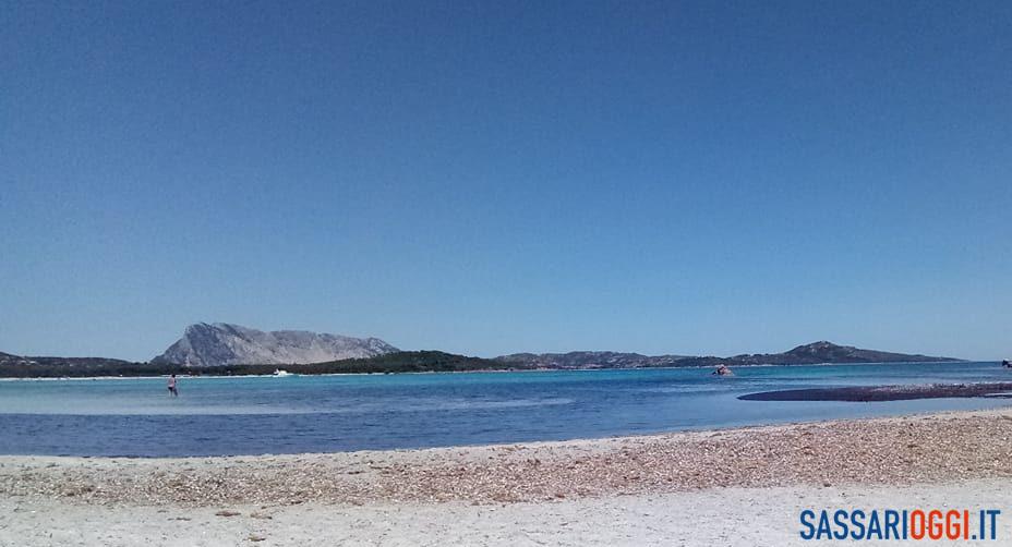 Posidonia spiaggia Alghero