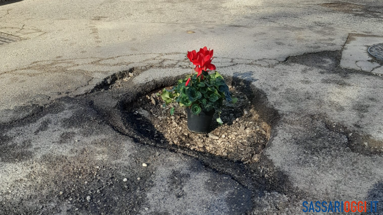 strada Sassari buca fiori buche