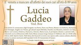 Lucia Gaddeo