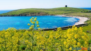 asinara commissario muntoni