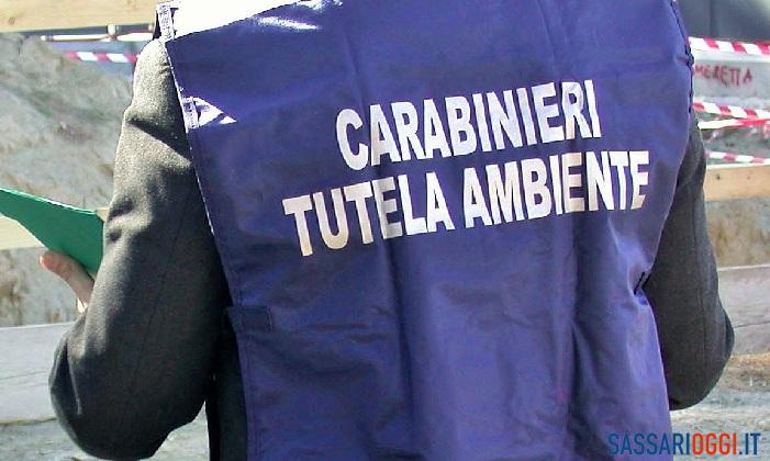 discarica abusiva bonorva Carabinieri-tutela-ambiente