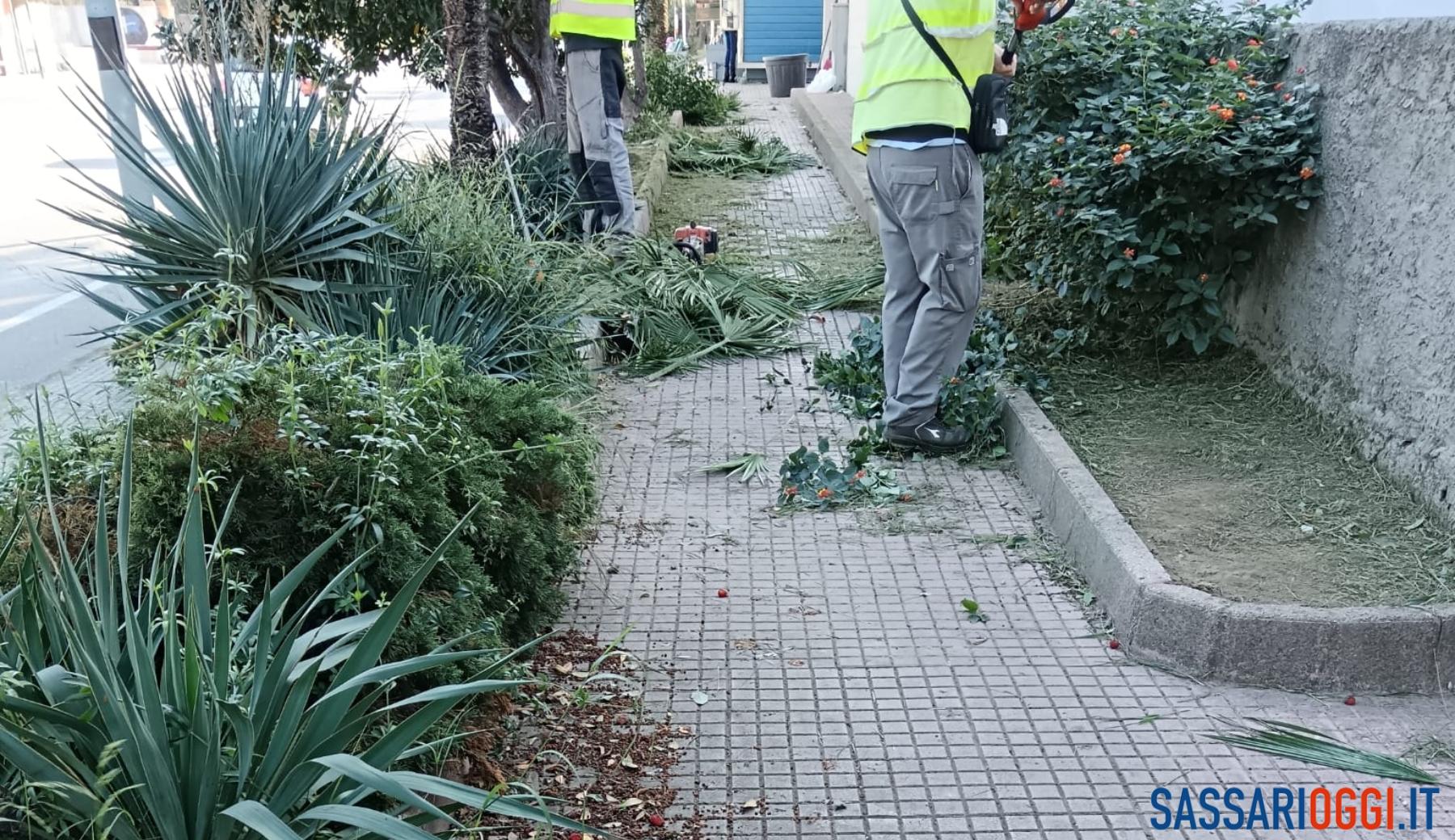 Dopo mesi di attesa sono state ripulite le strade di Li Punti