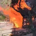 Incendio orti urbani via Paganini, Sassari