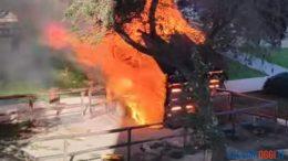 Incendio orti urbani via Paganini, Sassari